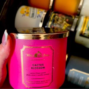 Cactus blossom bath and body works candle